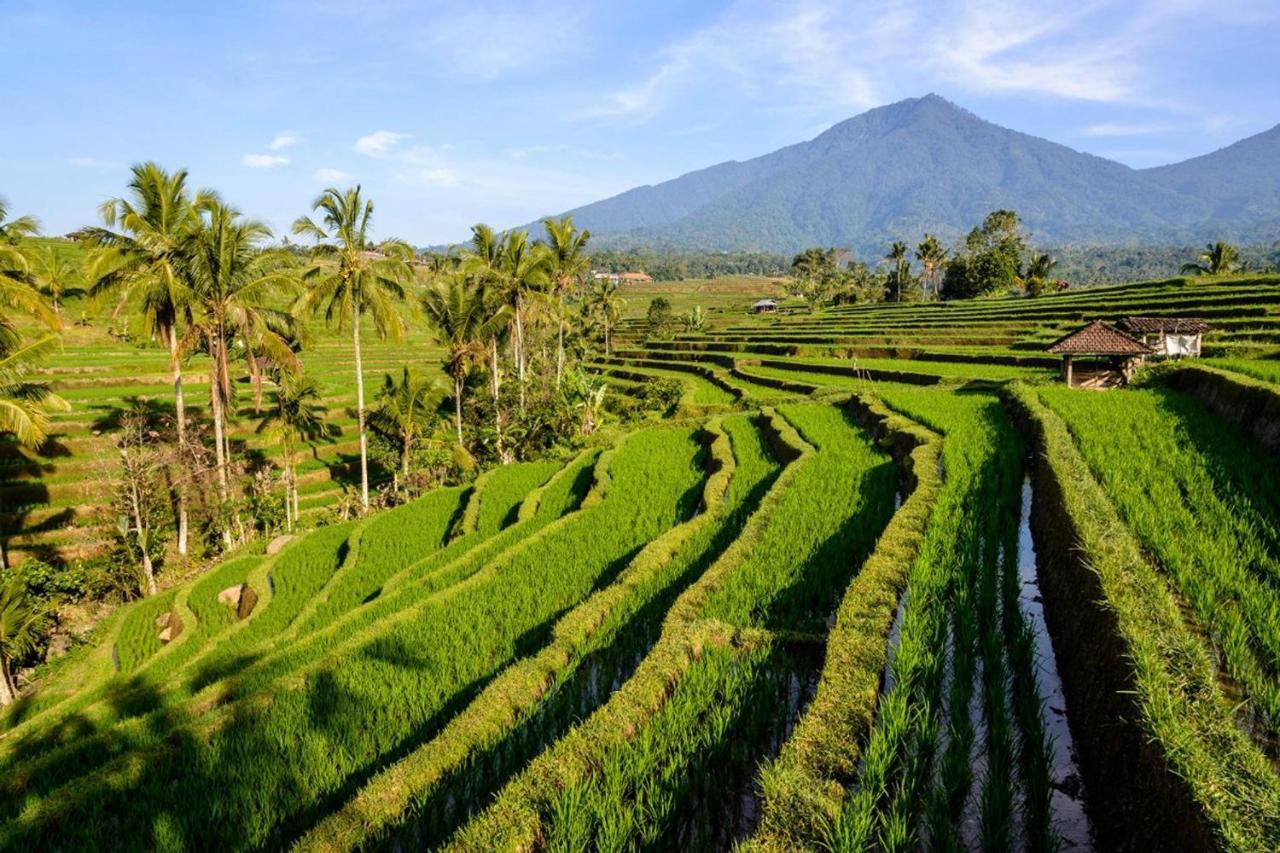 Villa Kts - Kubu Tepi Sawah Selemadeg Exterior foto